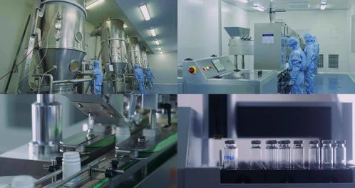 2021年生物试剂产品及技术服务项目市场分析