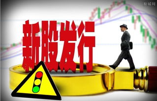 732192汇得科技怎么样 汇得科技申购上限是多少