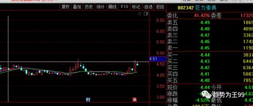 巨力索具 002342 金属制品 白酒 横盘